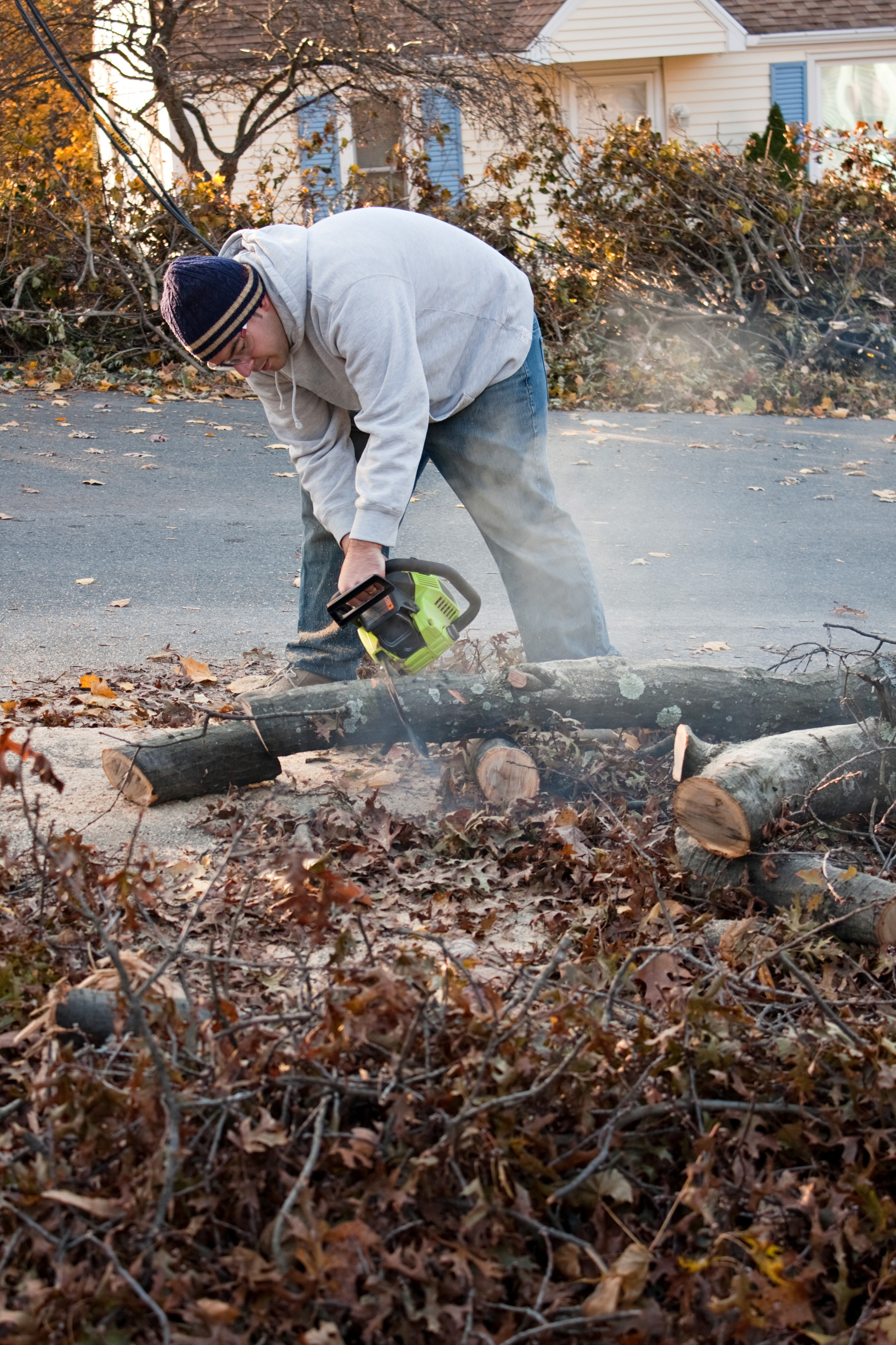 Tree and Limb Pick-up Clarification - News Image